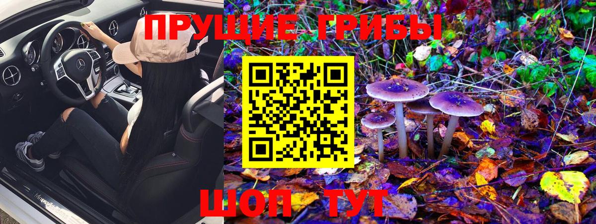 Псилоцибиновые грибы Magic Shrooms  Галлюциногенные грибы GOLDEN TEACHER  Вход с VPN  Мурманск 