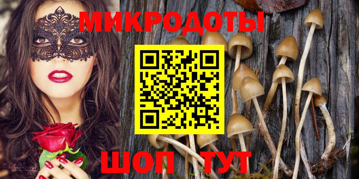 Галлюциногенные грибы Cubensis Мурманск